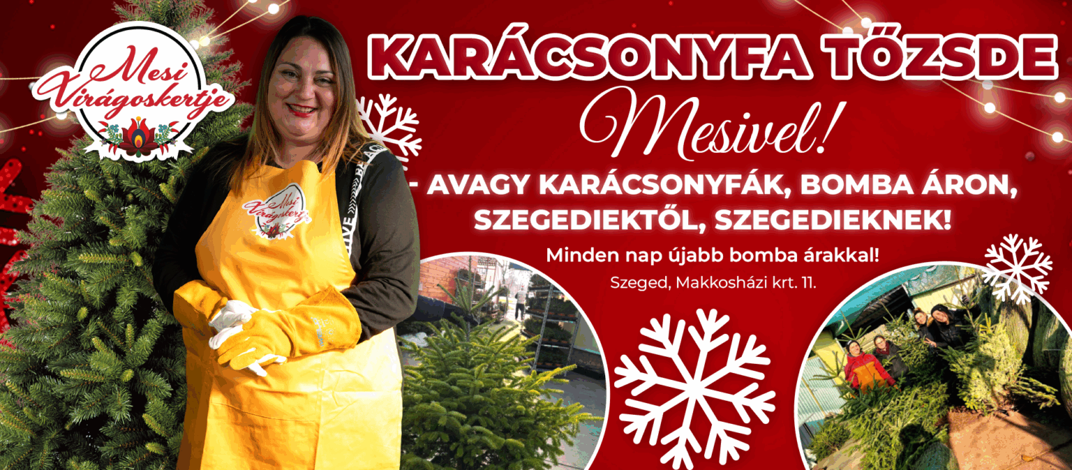 2025.12.01_karácsonyfa tőzsde