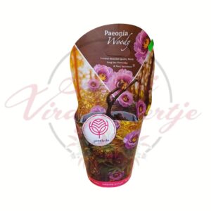 Bazsarózsa tő – Paeonia többféle cserepes évelő növény