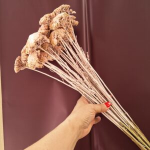 Lazacszínű színezett szárított cickafark csokor – Achillea