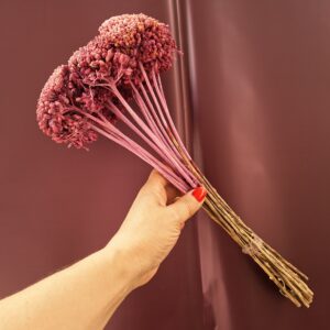 Mályvaszínű színezett szárított cickafark csokor – Achillea