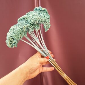 Mentazöld színezett szárított cickafark csokor – Achillea