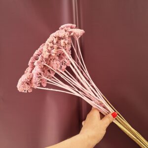 Rózsaszín színezett szárított cickafark csokor – Achillea