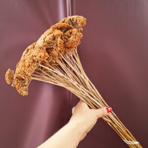 Rozsdás barack színű szárított cickafark csokor – Achillea