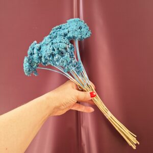 Türkizkék színezett szárított cickafark csokor – Achillea