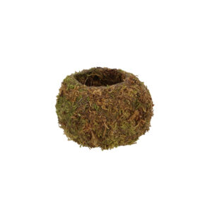 okedáma japán mohagömb virágtartó, 9 cm
