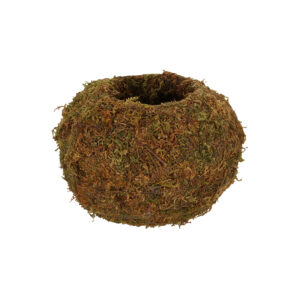 Kokedáma japán mohagömb virágtartó, 14,5 cm