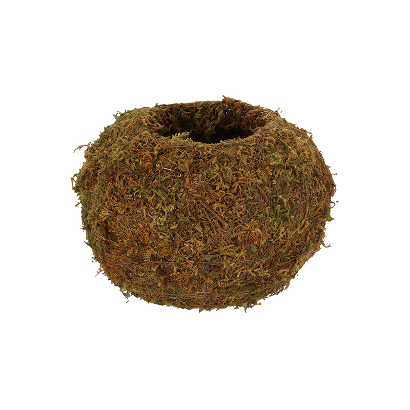 Kokedáma japán mohagömb virágtartó, 14,5 cm